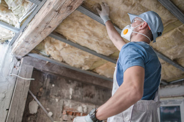 Best Insulation Removal  in Monee, IL