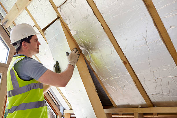 Best Insulation Removal  in Monee, IL